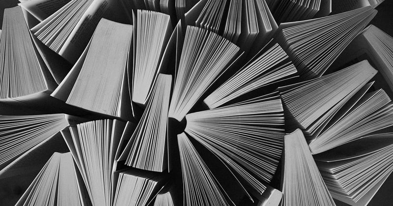 Comment réussir son seo éducateur stage : le guide complet