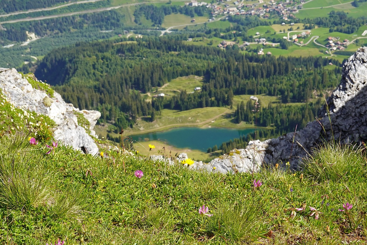 Les manettes sans fil ont-elles vraiment du lag ?