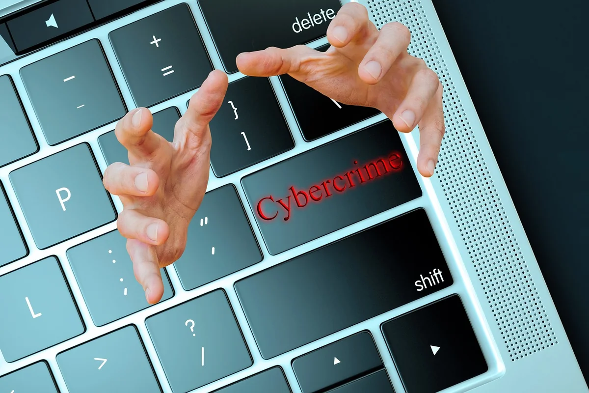 Torrent911 : découvrez les nouveautés incontournables de 2026 !
