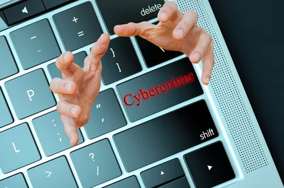 Torrent911 : découvrez les nouveautés incontournables de 2026 !