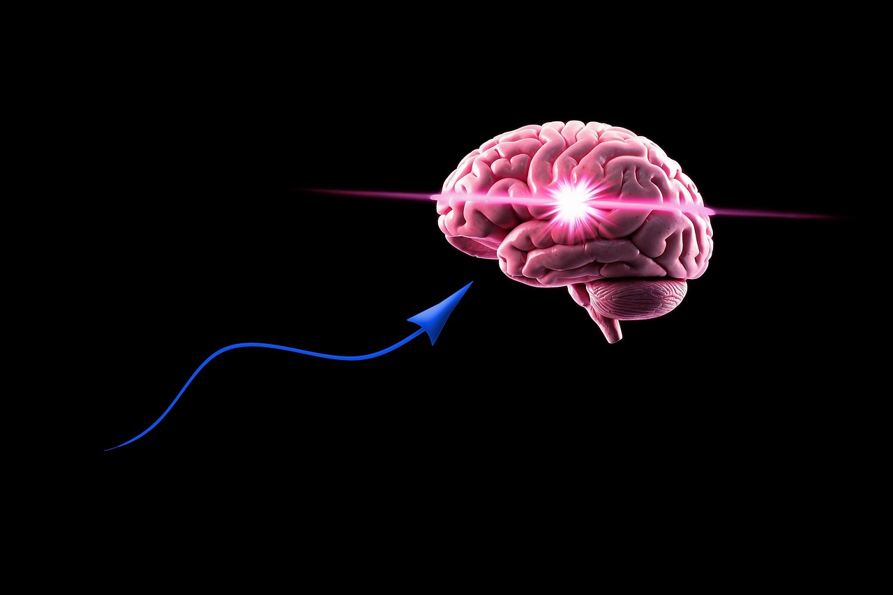 découvrez comment l'intelligence influence notre quotidien, nos choix et nos relations. explorez les différentes formes d'intelligence et apprenez à développer la vôtre pour réussir dans tous les domaines.