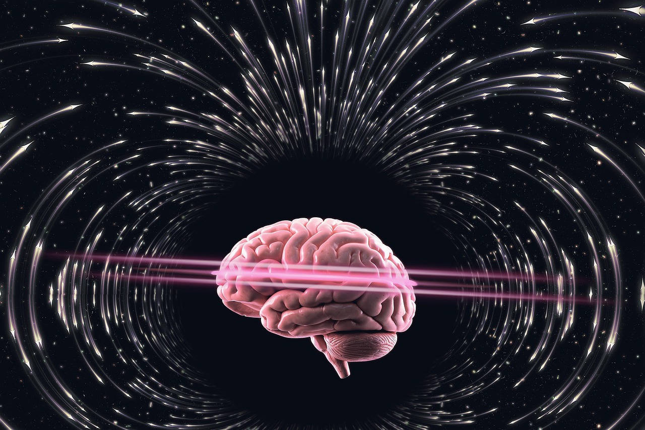 découvrez l'intelligence sous toutes ses formes : définitions, types, astuces pour la développer et son importance dans la vie quotidienne.