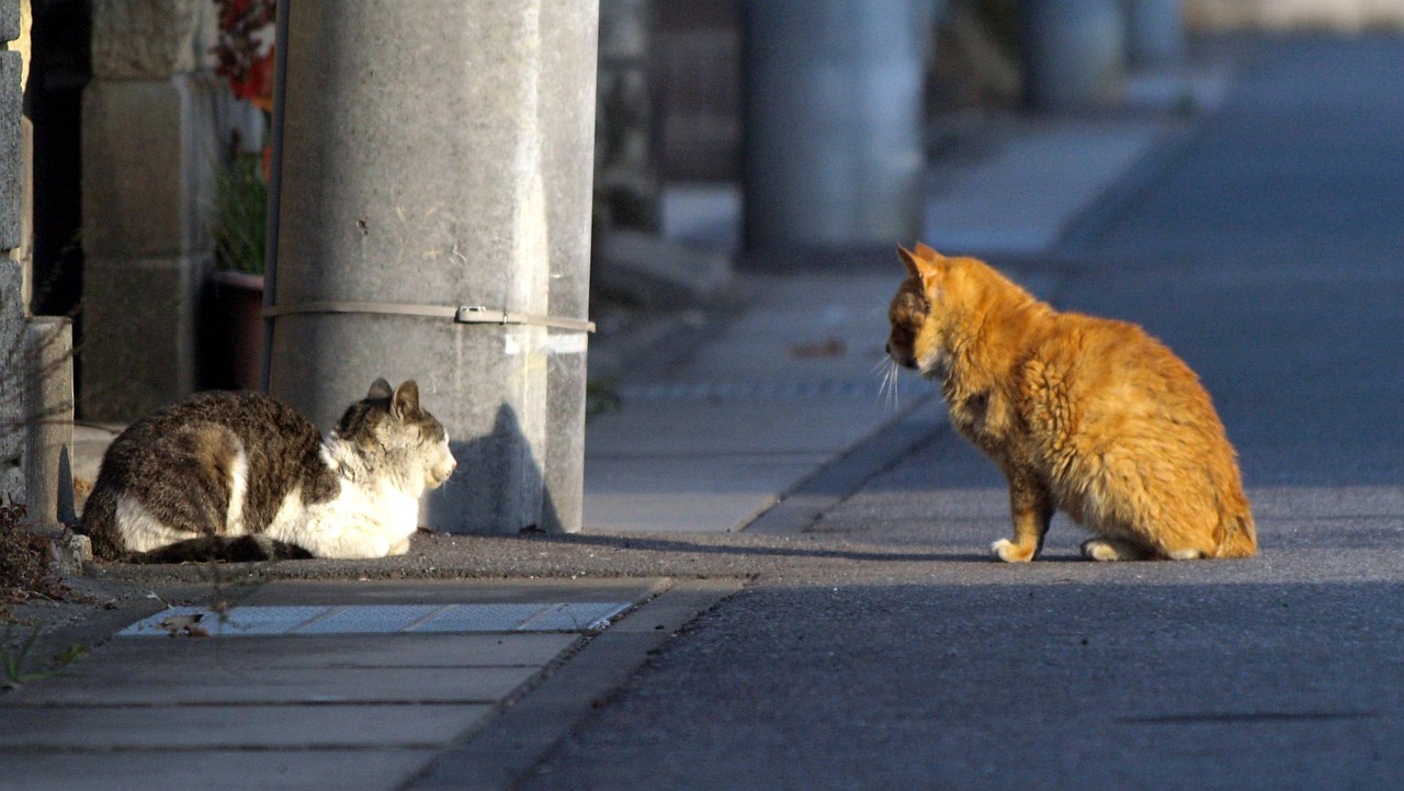 découvrez notre service de matchmaking personnalisé pour trouver la personne idéale. rencontres sérieuses et compatibles, adaptées à vos attentes et préférences.